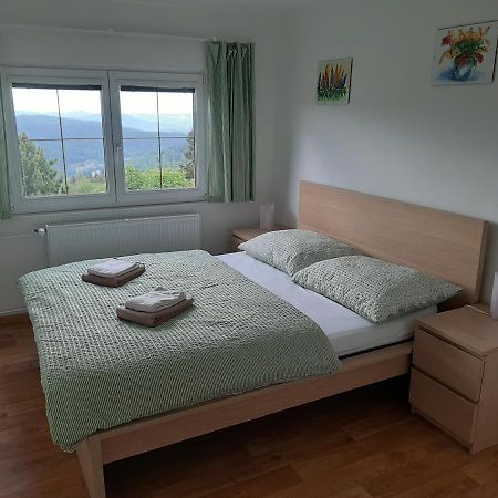 Naproti Klinovci Villa Jáchymov Exteriör bild