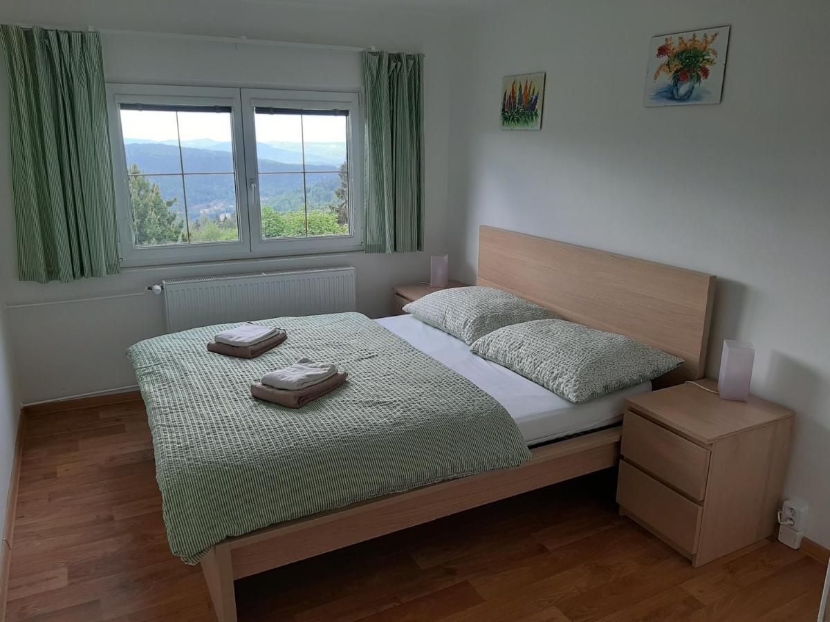 Naproti Klinovci Villa Jáchymov Exteriör bild